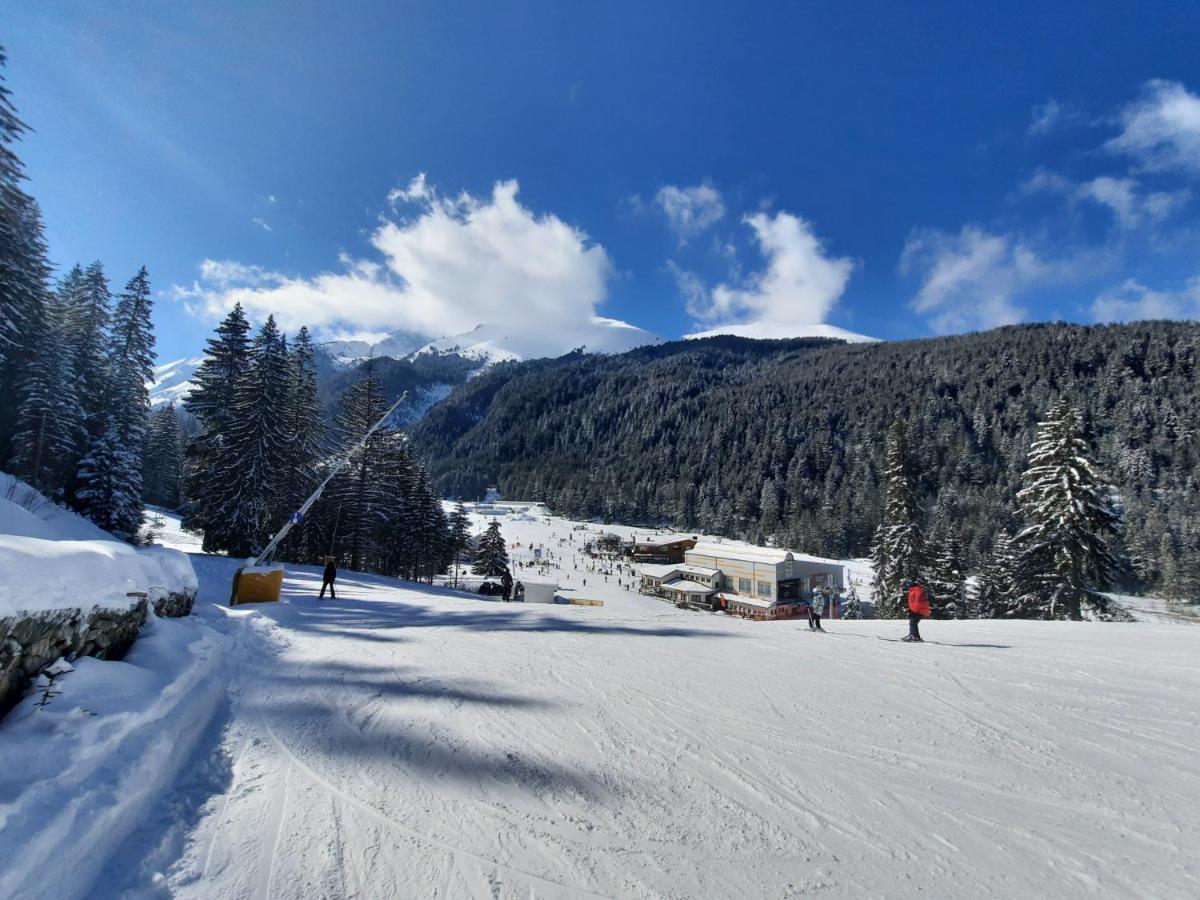 Apartment In Aspen Golf بانسكو المظهر الخارجي الصورة
